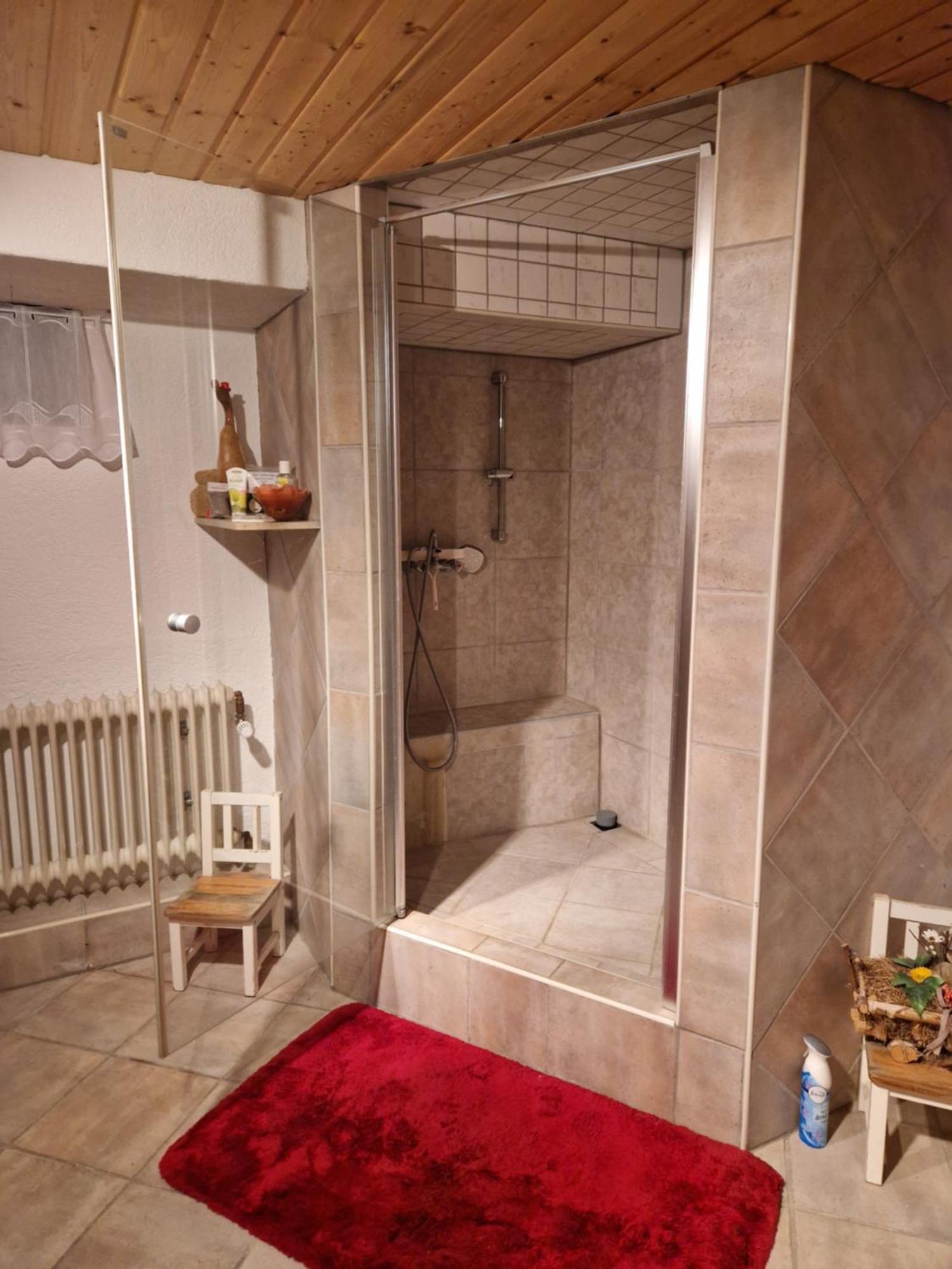 Grosses Gemuetliches Zimmer Mit Eigener Dusche Und Sauna Auf Wunsch 赖因斯特滕 外观 照片